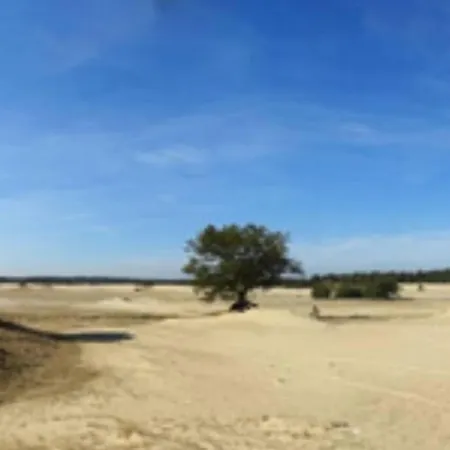 Gezellig Op De Veluwe Chalet Doornspijk