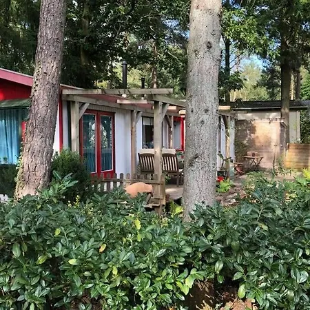 Gezellig Op De Veluwe Chalet