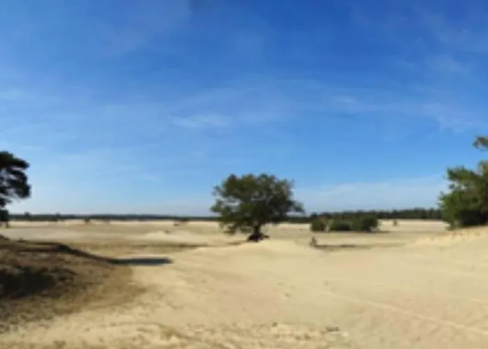 Gezellig Op De Veluwe Chalet Doornspijk