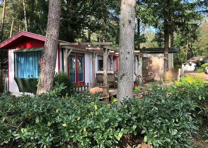 Gezellig Op De Veluwe Chalet