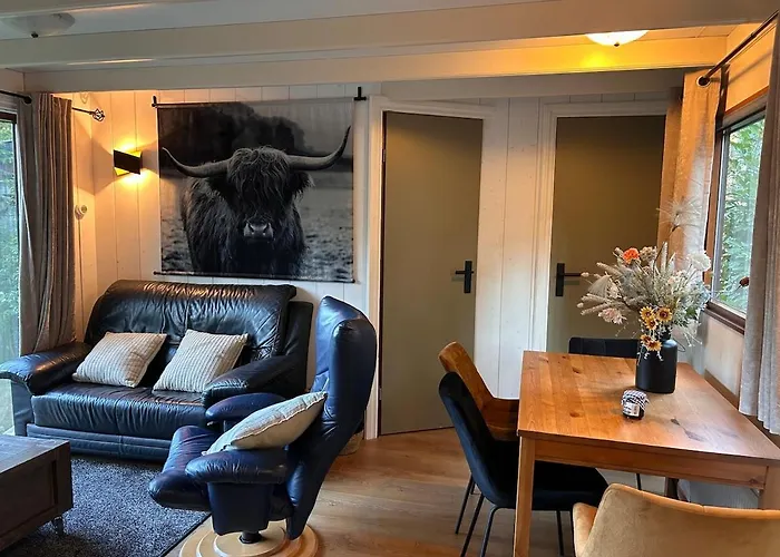 Gezellig Op De Veluwe Chalet