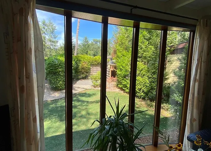 Chalet Gezellig Op De Veluwe Doornspijk