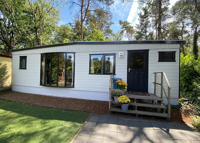 Gezellig Op De Veluwe