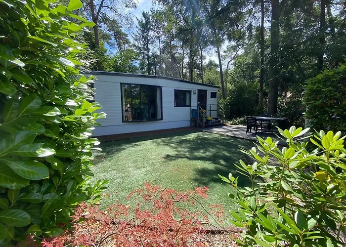 Chalet Gezellig Op De Veluwe Doornspijk