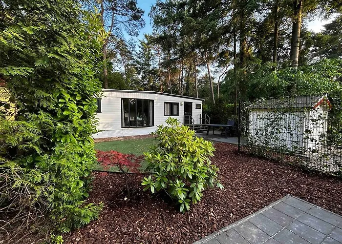 Gezellig Op De Veluwe