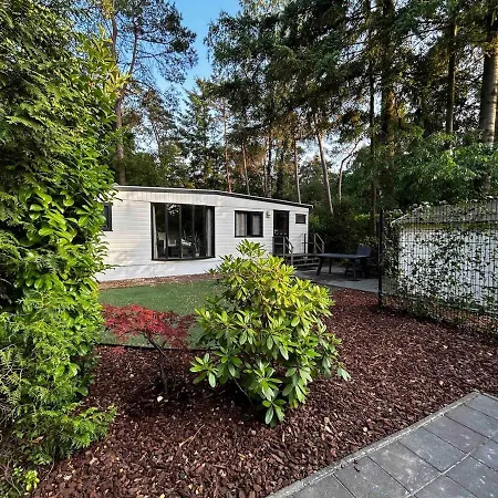 Gezellig Op De Veluwe